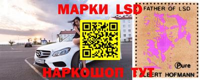 шишки Сланцы