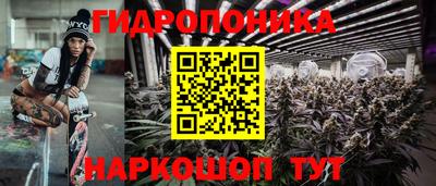 mdpv Славгород