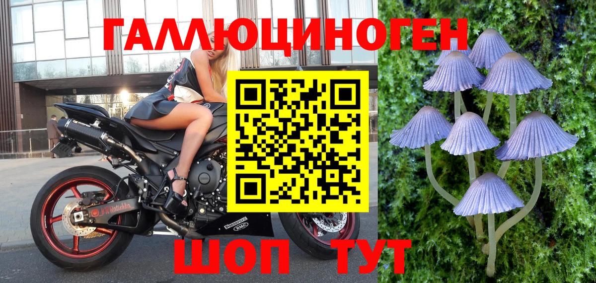 Псилоцибиновые грибы MAGIC MUSHROOMS Новочеркасск
